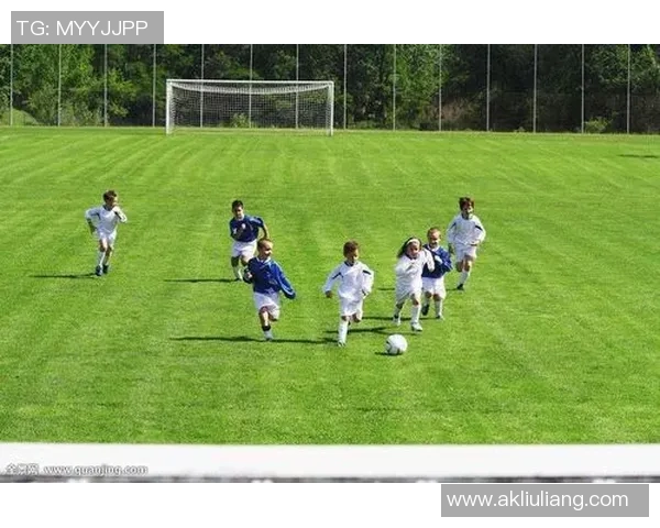 足球球星签字Gas现象分析及其对全球体育产业的影响探讨